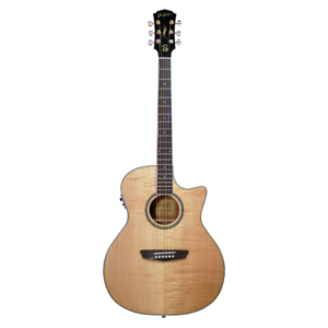 JS Guitars JG270E SM