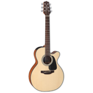 Takamine GX18CE-NS