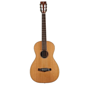 Tanglewood TWJ P E