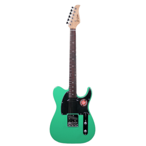 JS Guitars JS TL-2 Munsell LG