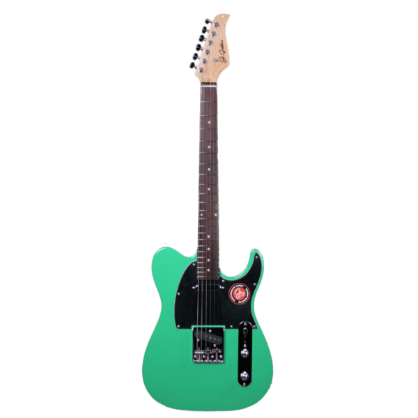 JS Guitars JS TL-2 Munsell LG