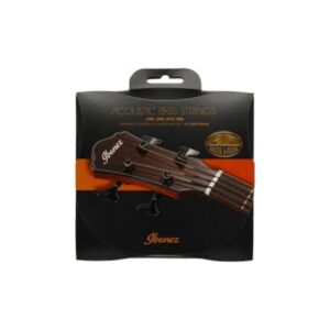 Ibanez Bass Acoustic IABX4XC
