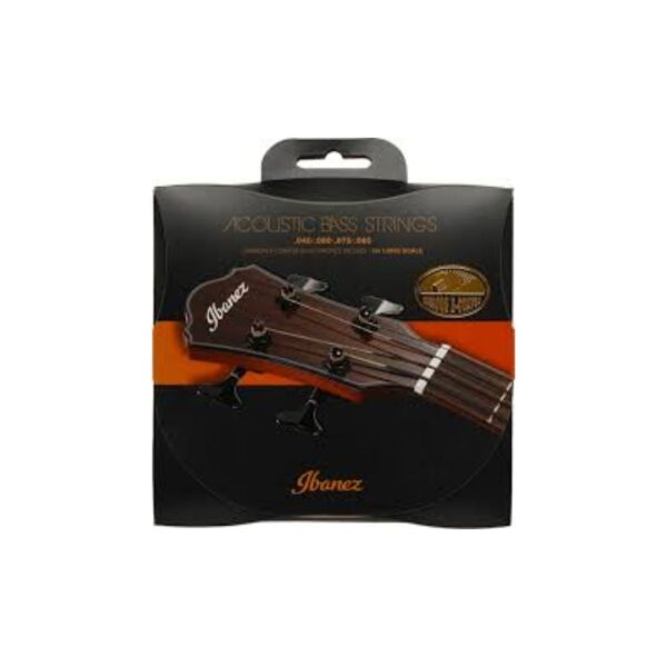 Ibanez Bass Acoustic IABX4XC