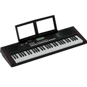 Roland Ex-10