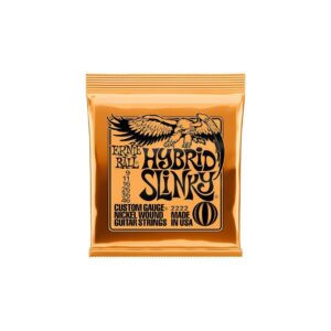 Ernie Ball 2222