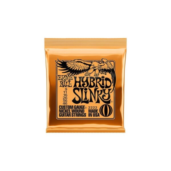 Ernie Ball 2222