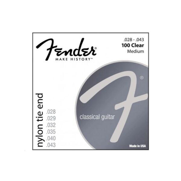 Fender 100