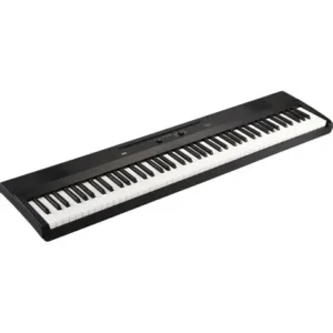 Korg Liano L1