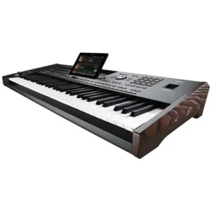 Korg Pa5X