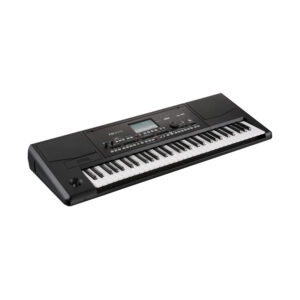 Korg Pa300