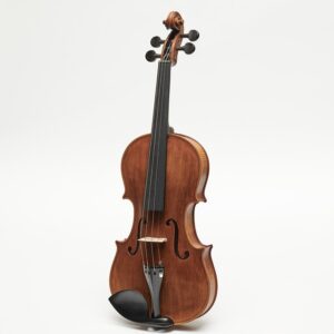 ⁠Stentor Violin The Arcadia 4/4