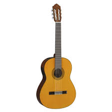 Yamaha CGX102