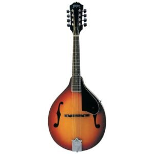 Mandolin Washburn M1S-A